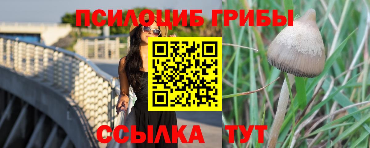 Псилоцибиновые грибы Cubensis Среднеуральск
